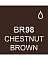 Touch Twin BRUSH Marker Einzelstifte BRUSH - BR98 Chestnut Brown